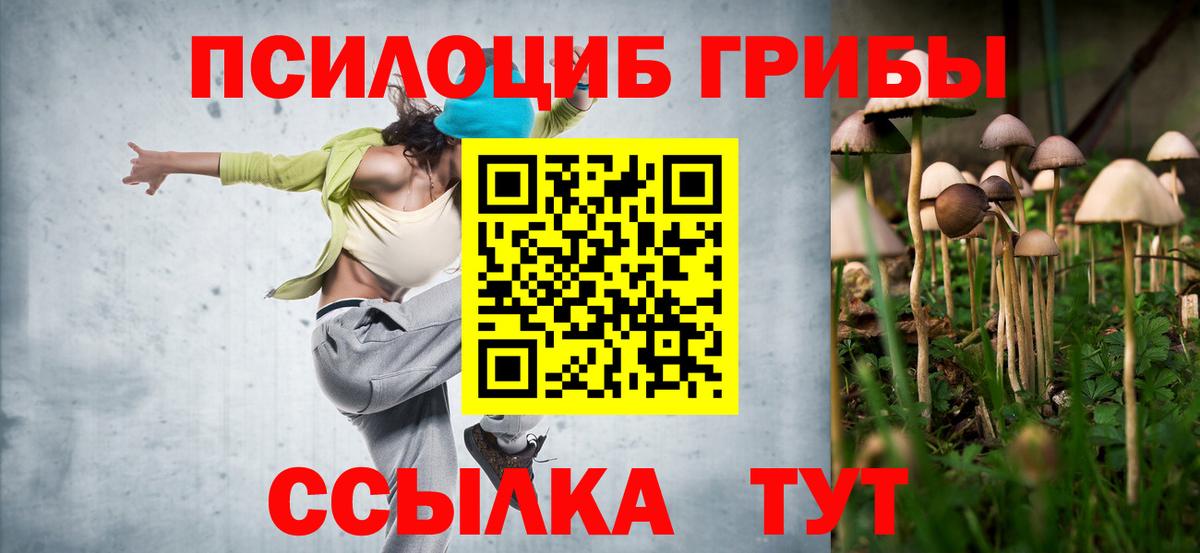 Полевской  Галлюциногенные грибы мицелий  хочу   Вход с VPN  Псилоцибиновые грибы Cubensis 